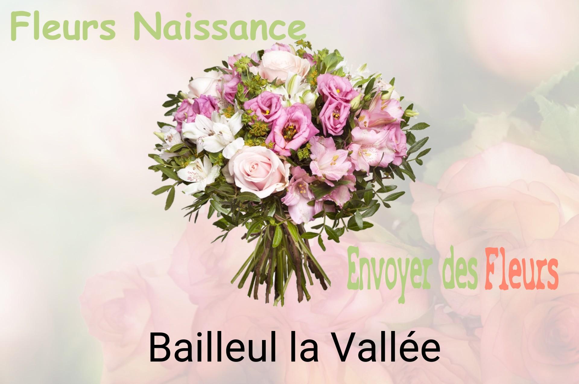 Bouquet de fleurs de naissance livré à Bailleul-la-Vallée